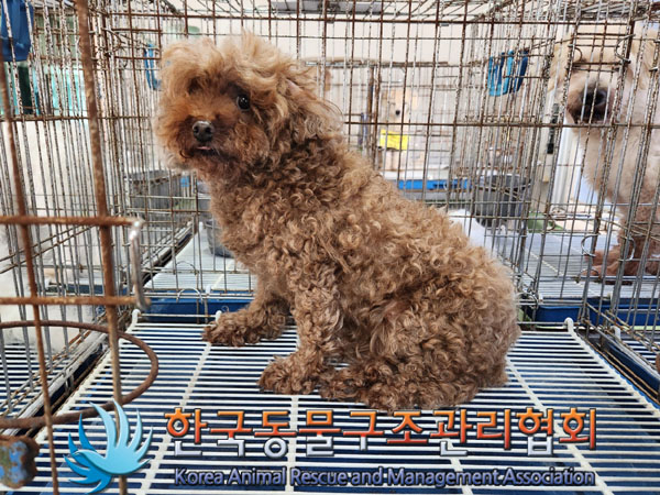 한국동물구조관리협회_411312202300542